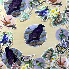 Load image into Gallery viewer, Common Raven with Moths - Vinyl Sticker -