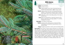 Load image into Gallery viewer, Trees of Pennsylvania Field Guide 2e