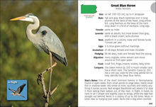 Load image into Gallery viewer, Birds of Pennsylvania Field Guide 3e