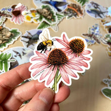 Load image into Gallery viewer, Vinyl Sticker - Bumble Bee with Purple Coneflower