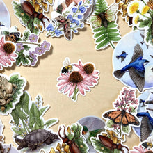 Load image into Gallery viewer, Vinyl Sticker - Bumble Bee with Purple Coneflower