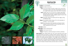 Load image into Gallery viewer, Trees of Pennsylvania Field Guide 2e