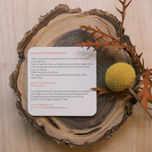 Load image into Gallery viewer, Amanita Red Mushroom Iron-On Patch