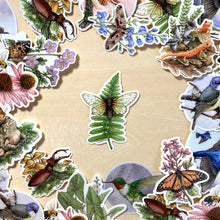 Load image into Gallery viewer, Cicada on Fern - Vinyl Sticker -