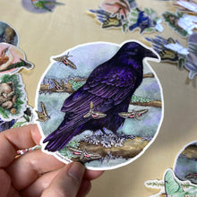 Load image into Gallery viewer, Common Raven with Moths - Vinyl Sticker -