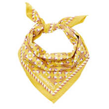 Load image into Gallery viewer, No. 100 Sarah Bandana