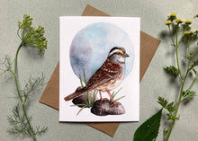 Load image into Gallery viewer, Notecard Set - 6 Backyard Birds On Blank Recycled Cards