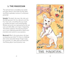 Load image into Gallery viewer, Dog Tarot