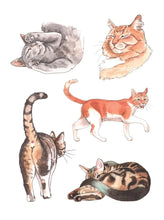 Load image into Gallery viewer, The Cat's Meow Sticker Book