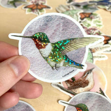 Load image into Gallery viewer, Ruby-throated Hummingbird Glitter - Vinyl Sticker -