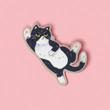Load image into Gallery viewer, I Am A Cat Vinyl Sticker