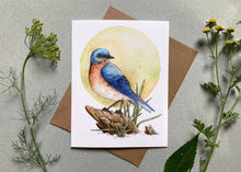 Load image into Gallery viewer, Notecard Set - 6 Backyard Birds On Blank Recycled Cards