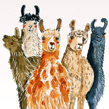 Load image into Gallery viewer, Llamas Friends Herd - Funny Birthday Card