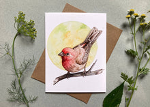 Load image into Gallery viewer, Notecard Set - 6 Backyard Birds On Blank Recycled Cards