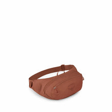 Load image into Gallery viewer, Daylite Waist Pack