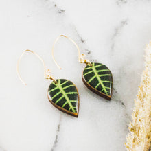 Load image into Gallery viewer, Small Alocasia Tropical Leaf Earrings