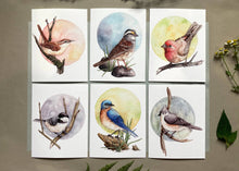 Load image into Gallery viewer, Notecard Set - 6 Backyard Birds On Blank Recycled Cards