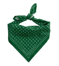 Load image into Gallery viewer, No. 060 Pills Bandana
