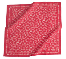 Load image into Gallery viewer, No. 053 Bikes Red Bandana