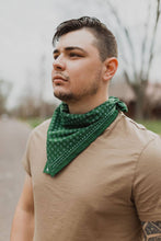 Load image into Gallery viewer, No. 060 Pills Bandana