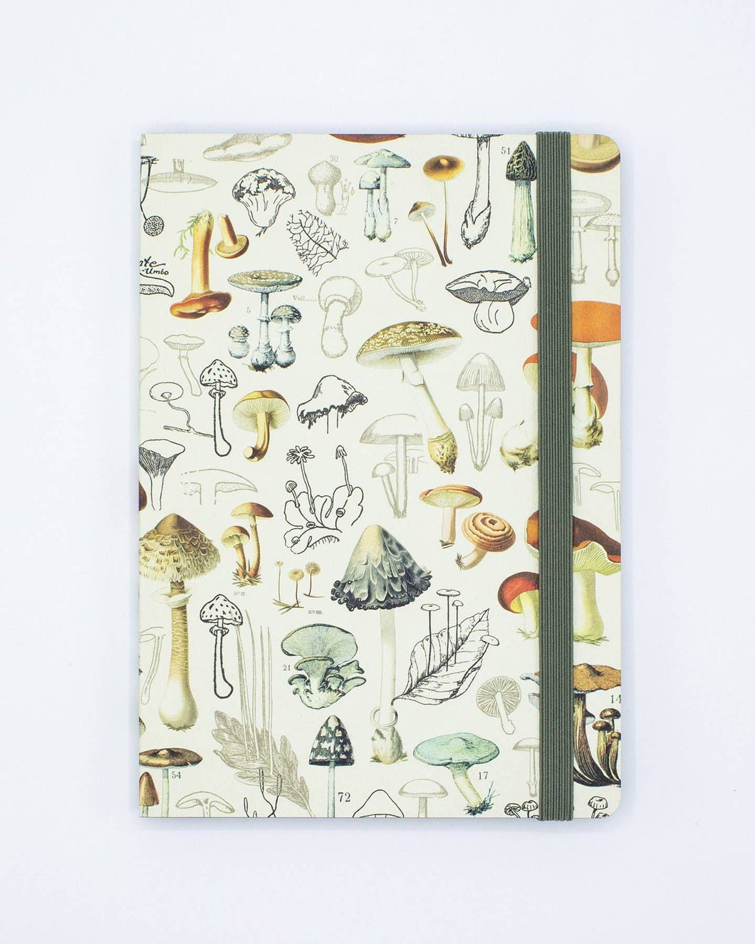 Woodland Mushrooms A5 Softcover (Case of 6)