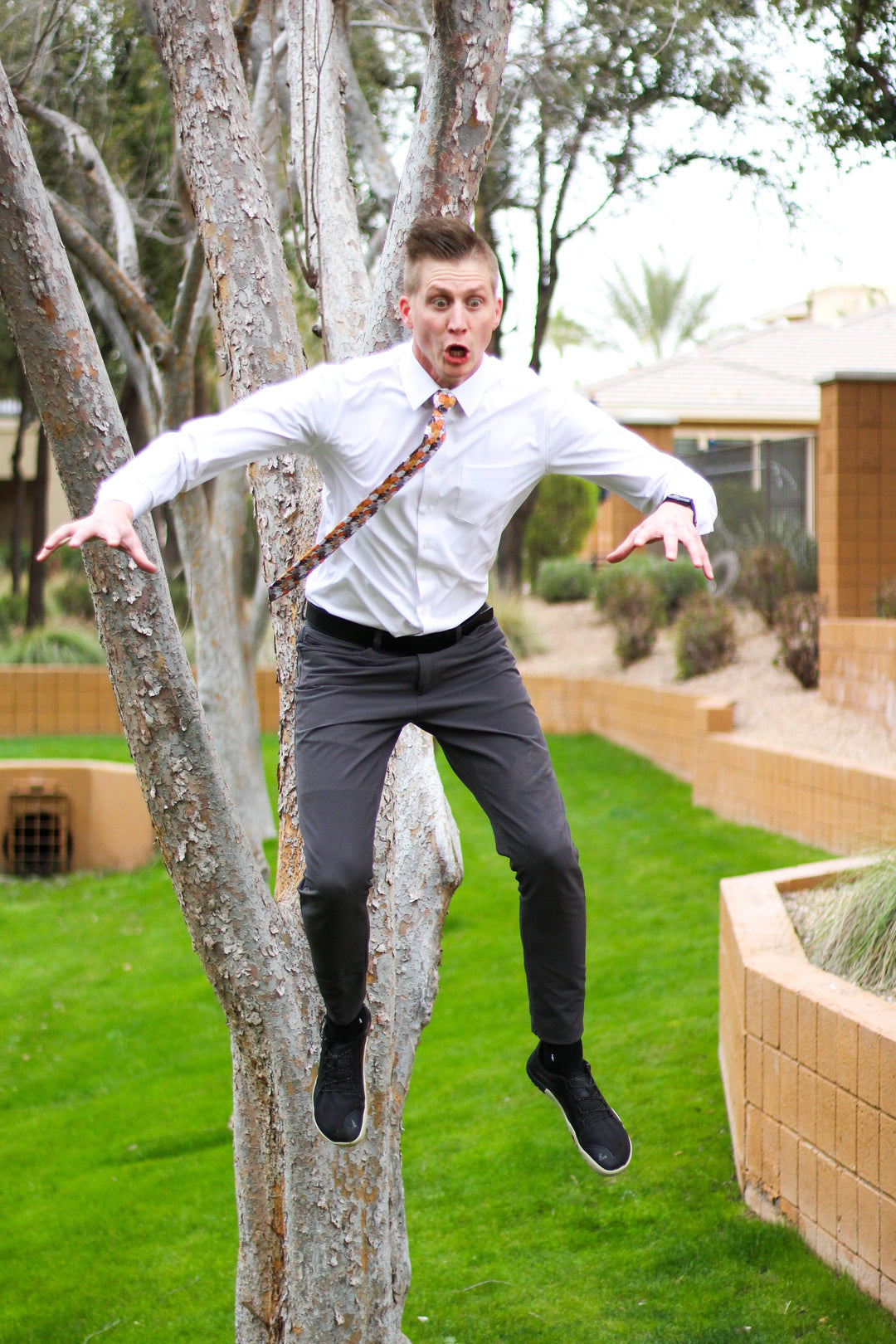 Squish – Lots of Cats Tie