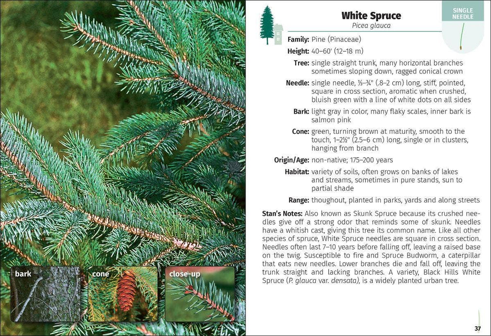 Trees of Pennsylvania Field Guide 2e