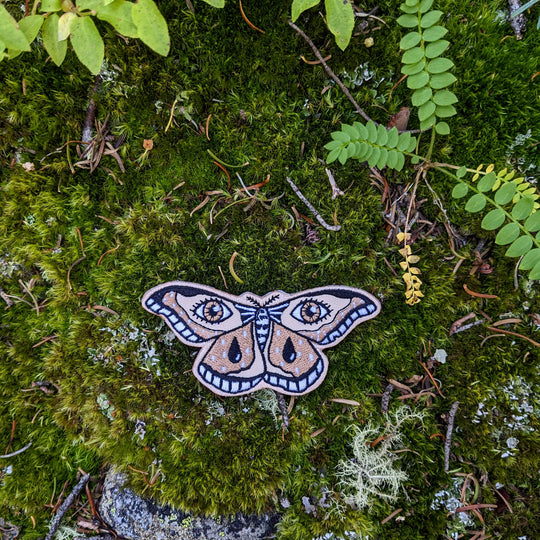 Patch | moth
