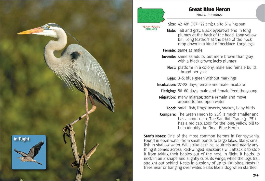 Birds of Pennsylvania Field Guide 3e