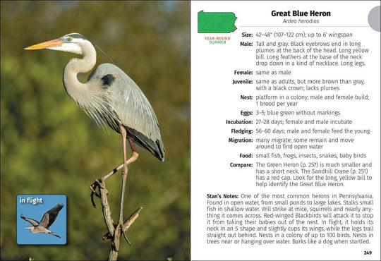 Birds of Pennsylvania Field Guide 3e