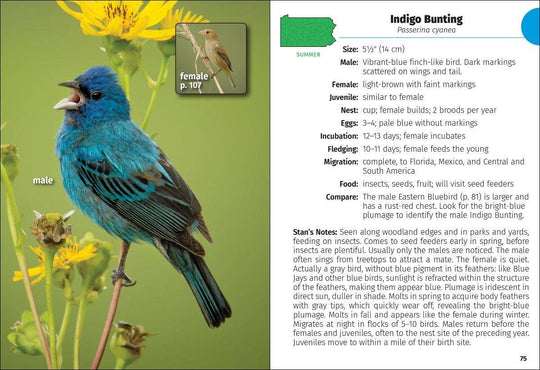 Birds of Pennsylvania Field Guide 3e