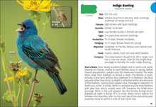 Load image into Gallery viewer, Birds of Pennsylvania Field Guide 3e
