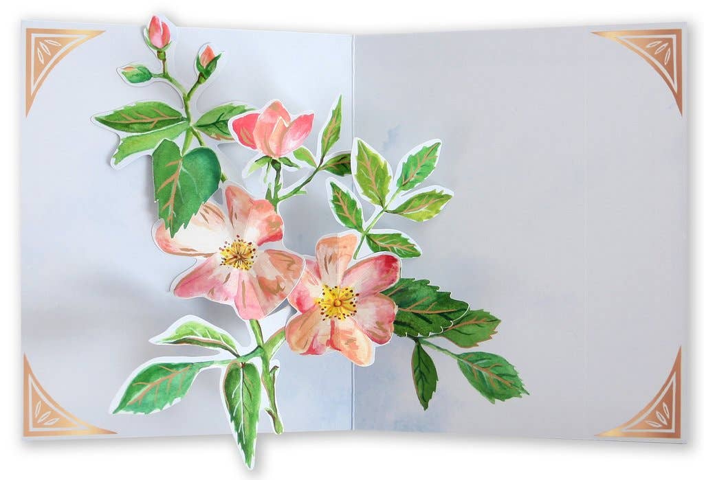 Seed Packet