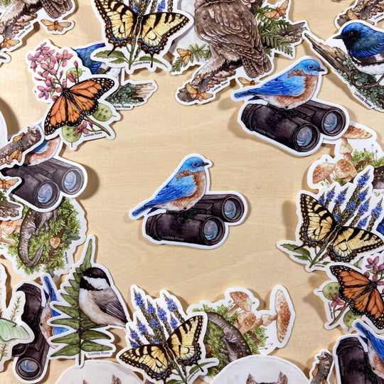 Eastern Bluebird On Binoculars - Vinyl Sticker -