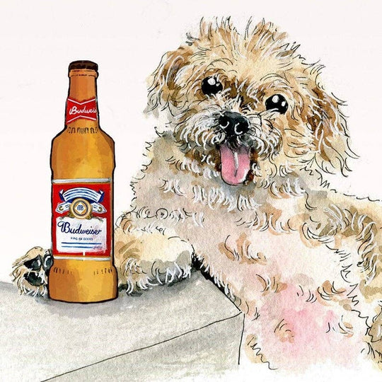 Older Budwiser Dog - Funny Birthday Card