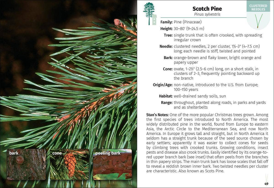 Trees of Pennsylvania Field Guide 2e