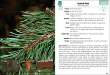 Load image into Gallery viewer, Trees of Pennsylvania Field Guide 2e

