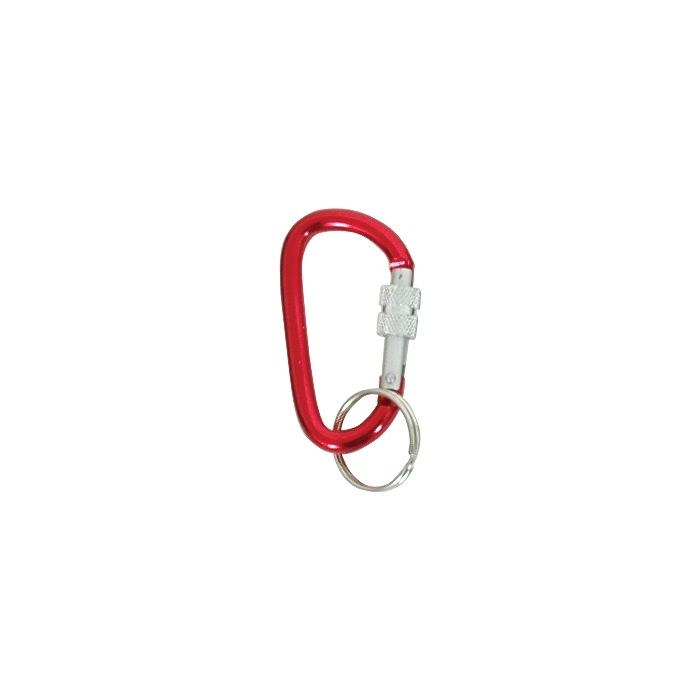 SCREWGATE ACCESSORY CARABINER KEY CHAINS