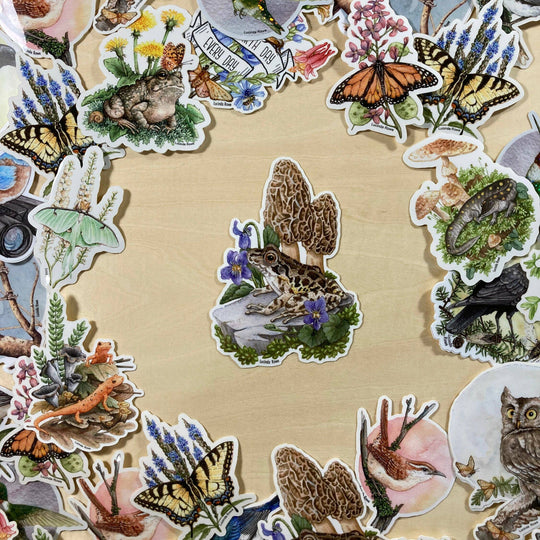 Pickerel Frog With Morels - Vinyl Sticker -