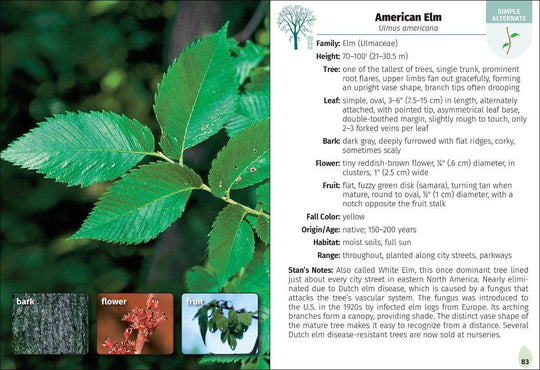 Trees of Pennsylvania Field Guide 2e