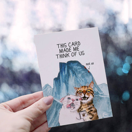 Cats Couple Adventure Funny Anniversary Card