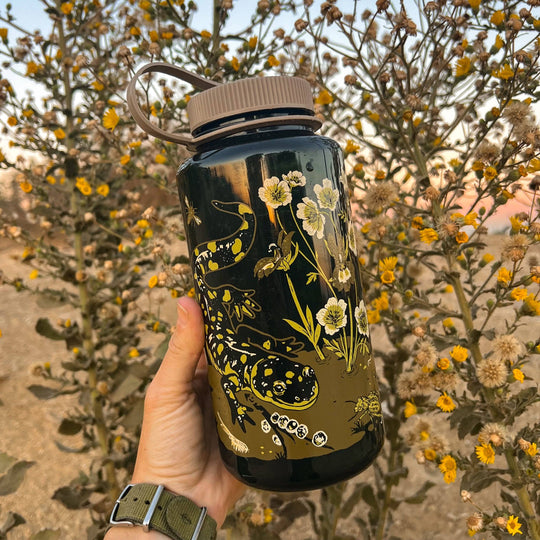 Nalgene 32oz: Vernal