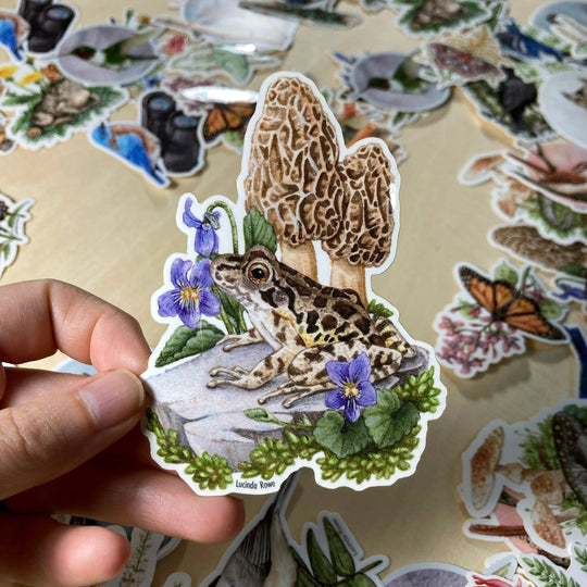 Pickerel Frog With Morels - Vinyl Sticker -