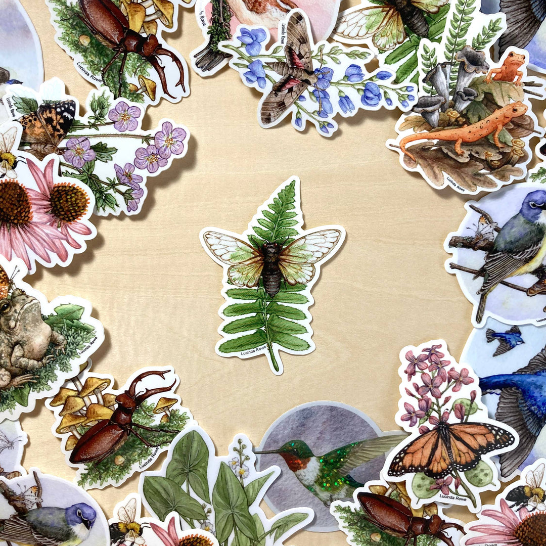 Cicada on Fern - Vinyl Sticker -