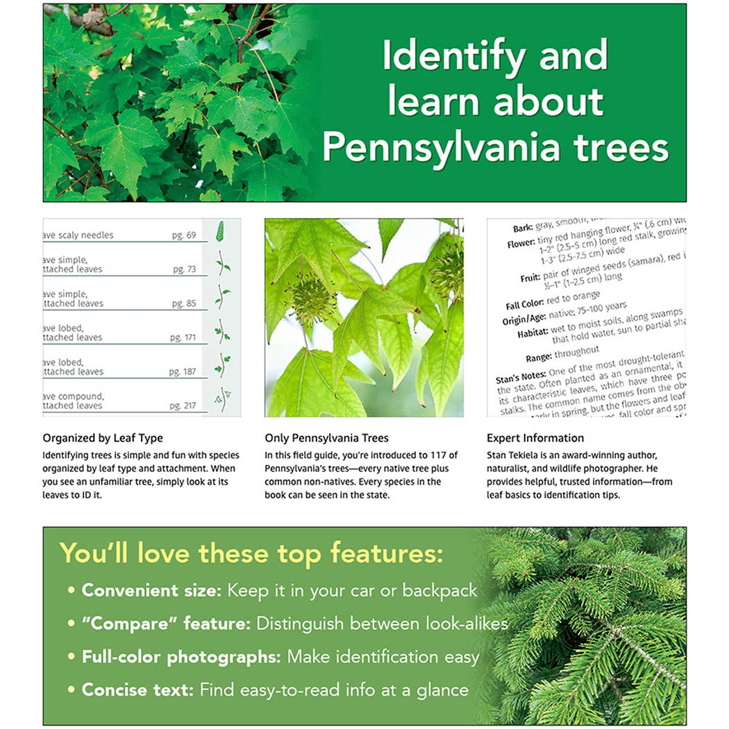 Trees of Pennsylvania Field Guide 2e