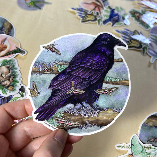 Common Raven with Moths - Vinyl Sticker -