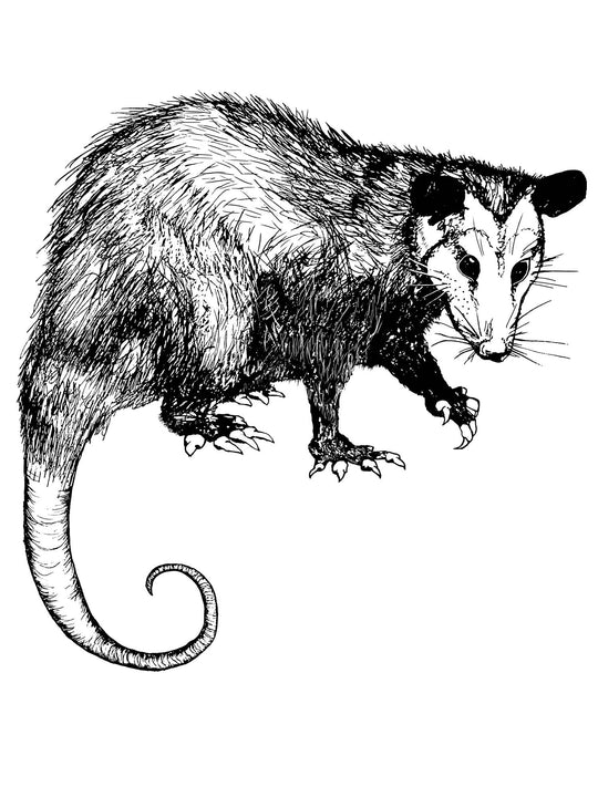 Opossum Lala Tank