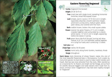 Load image into Gallery viewer, Trees of Pennsylvania Field Guide 2e
