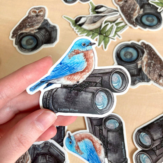 Eastern Bluebird On Binoculars - Vinyl Sticker -