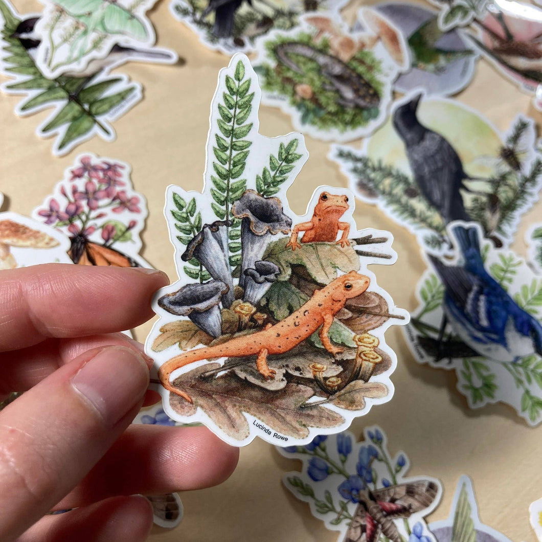 Vinyl Sticker - Red Efts With Trumpet Chanterelles